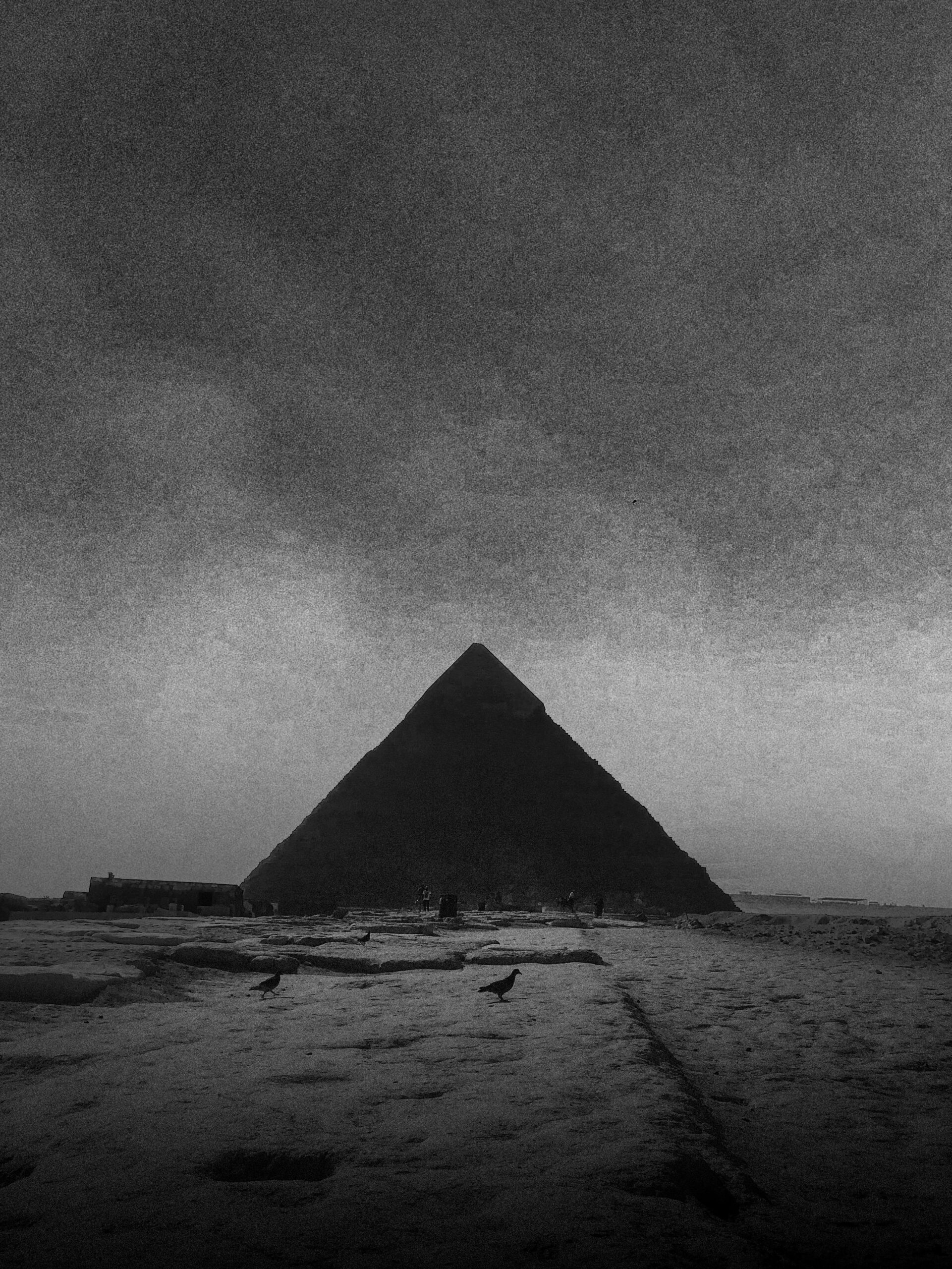 Luxor & Aswan Temples