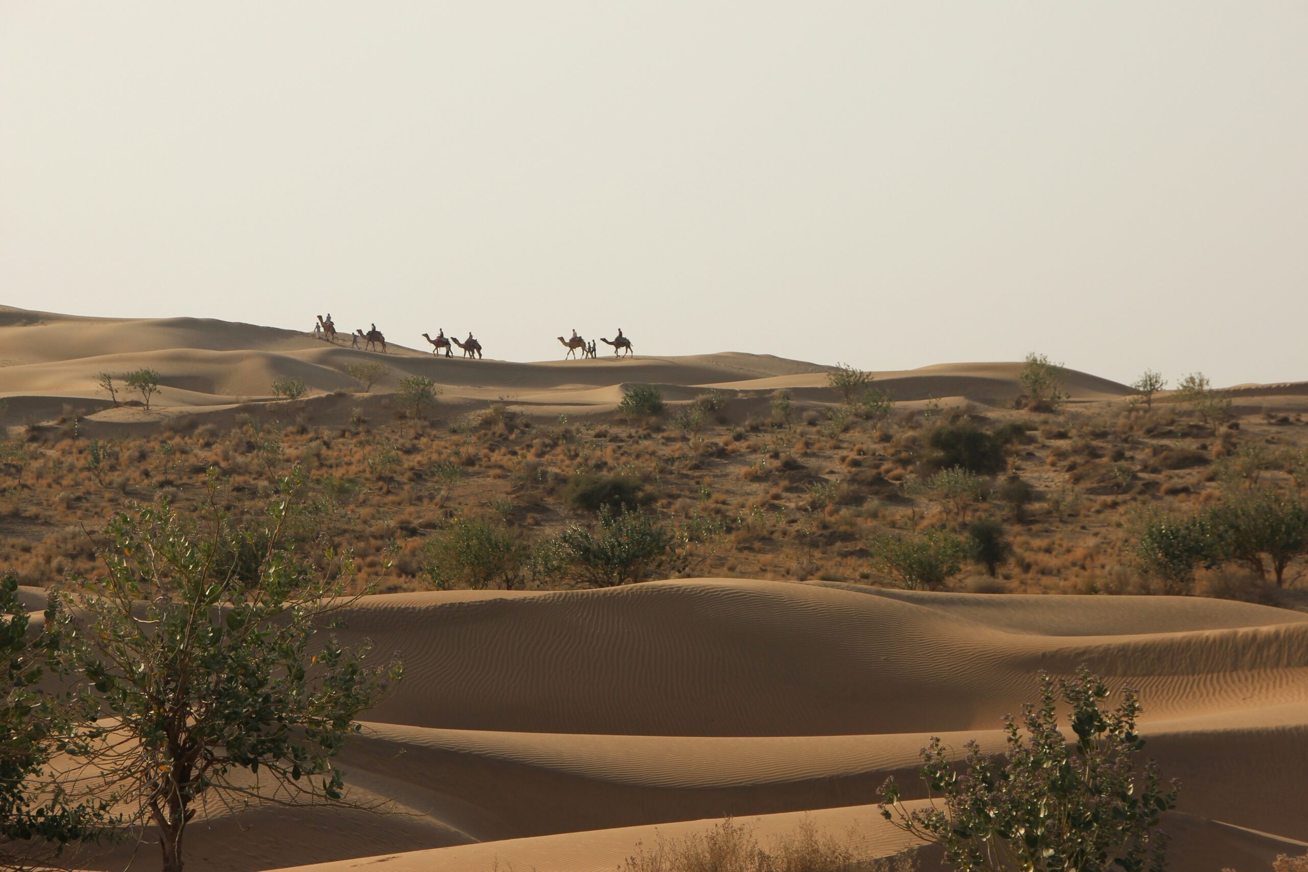 Abu Simbel